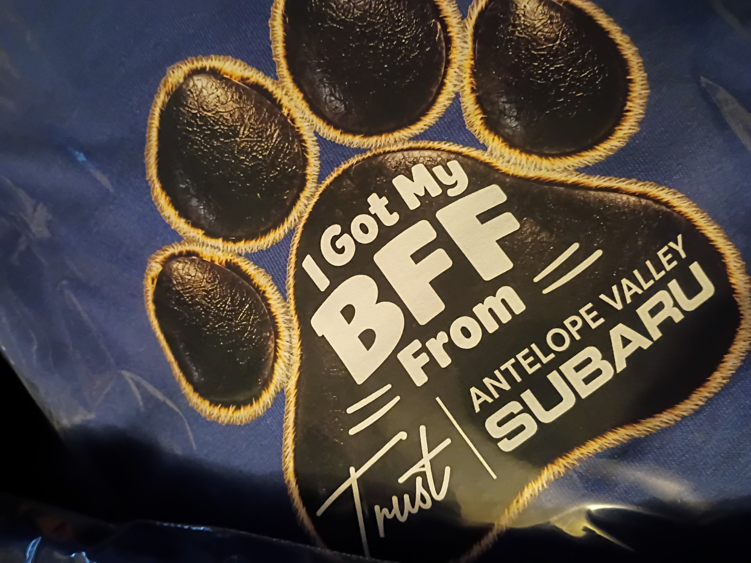 Close-up of the black and gold paw print reading I Got My BFF From Trust Antelope Valley Subaru on a blue shirt.